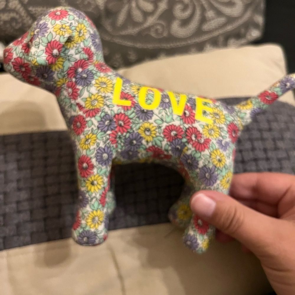 Vs‎ pink rare dog